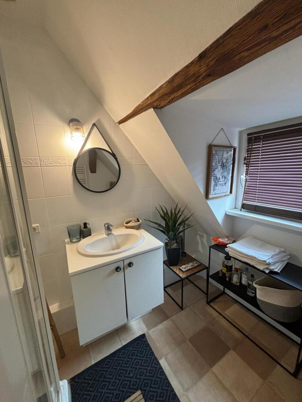 Charmant Appartement Proche Strasbourg A Eckwersheim ภายนอก รูปภาพ