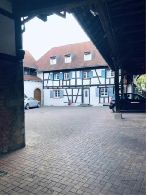 Charmant Appartement Proche Strasbourg A Eckwersheim ภายนอก รูปภาพ
